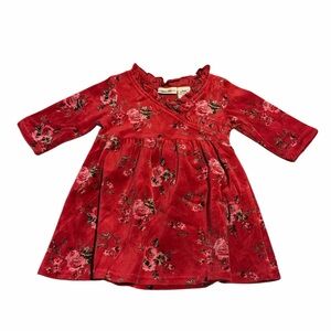 Y2k Cherokee Velvet Floral Kids Dress Size 9 months
